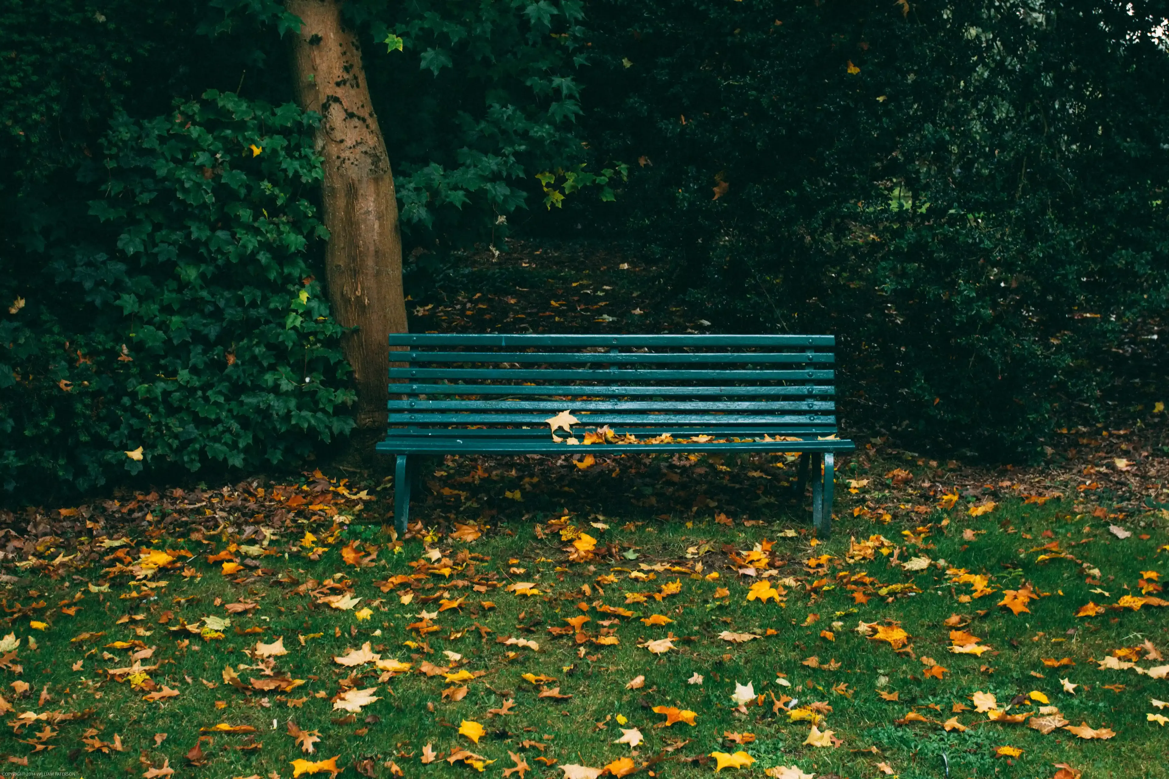 Michigan Parks